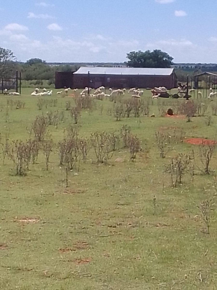 Commercial Property for Sale in Schweizer Reneke North West